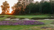 Surrey's Timeless Heathland Gem