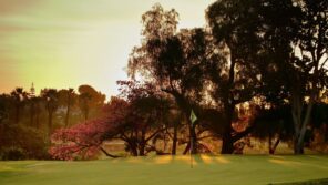 Real Club de Golf Las Brisas