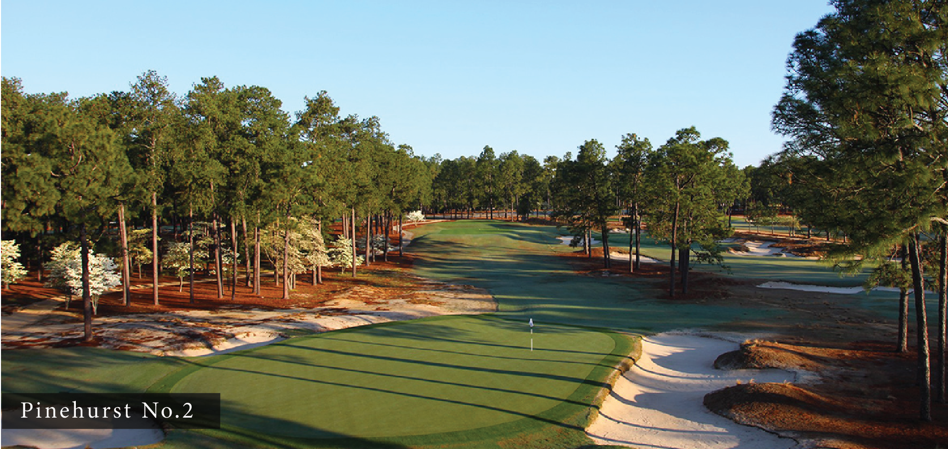 Pinehurst no.2